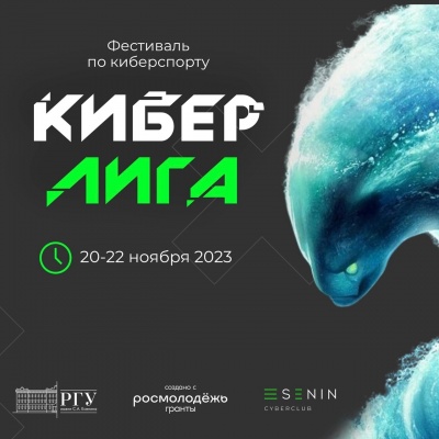 Фестиваль по киберспорту «Кибер Лига»
